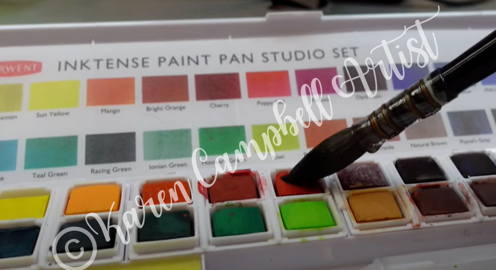 Loose Watercolor Demo of How to Use Derwent Inktense Paint Pan Studio Set with Karen Campbell Artist